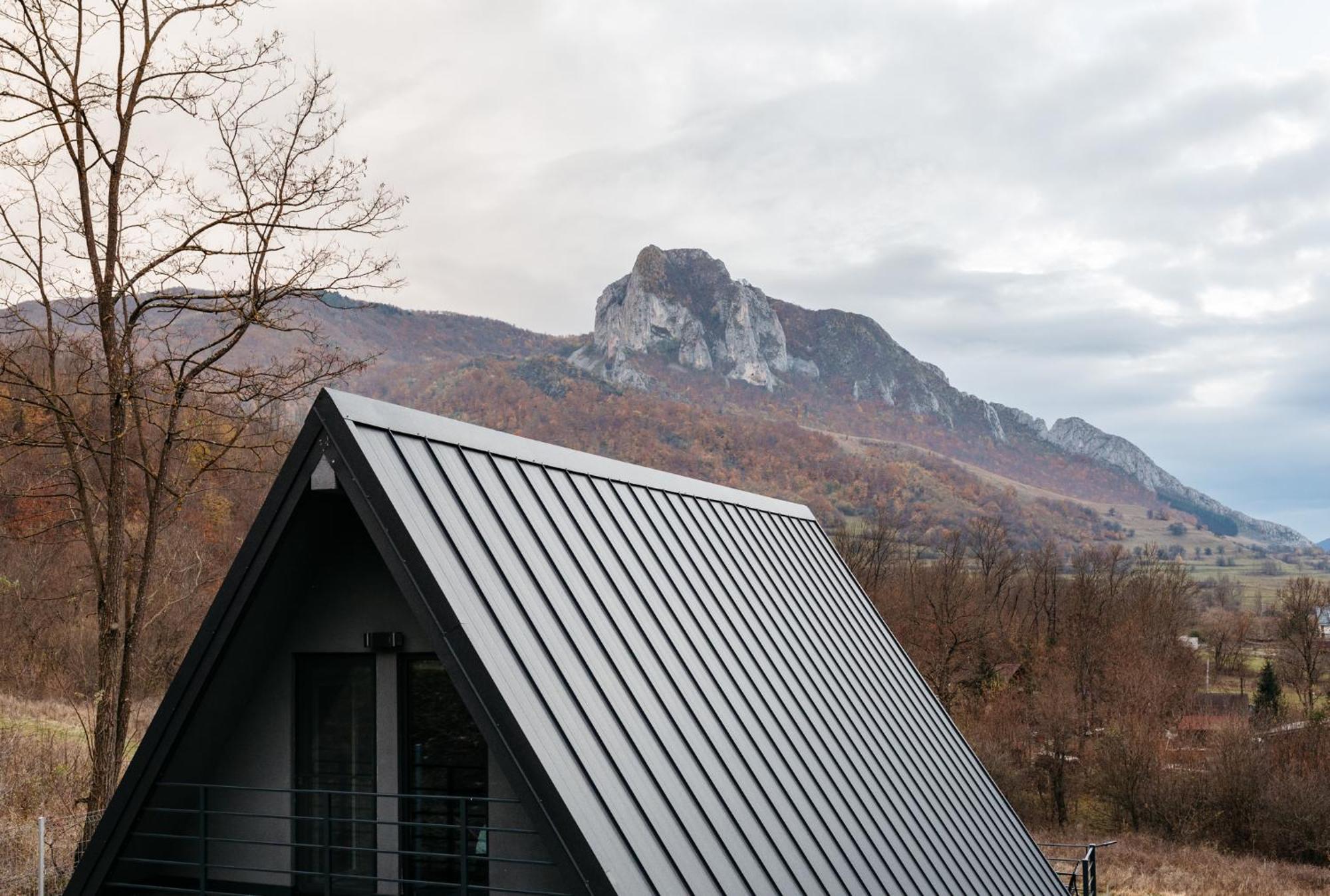 Karl'S Cabin By Black & White Panoramic ريميتيا المظهر الخارجي الصورة